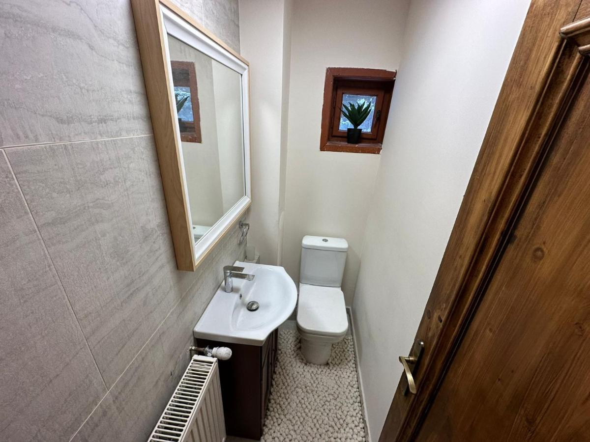 Black Wolf PĂLTINIȘ