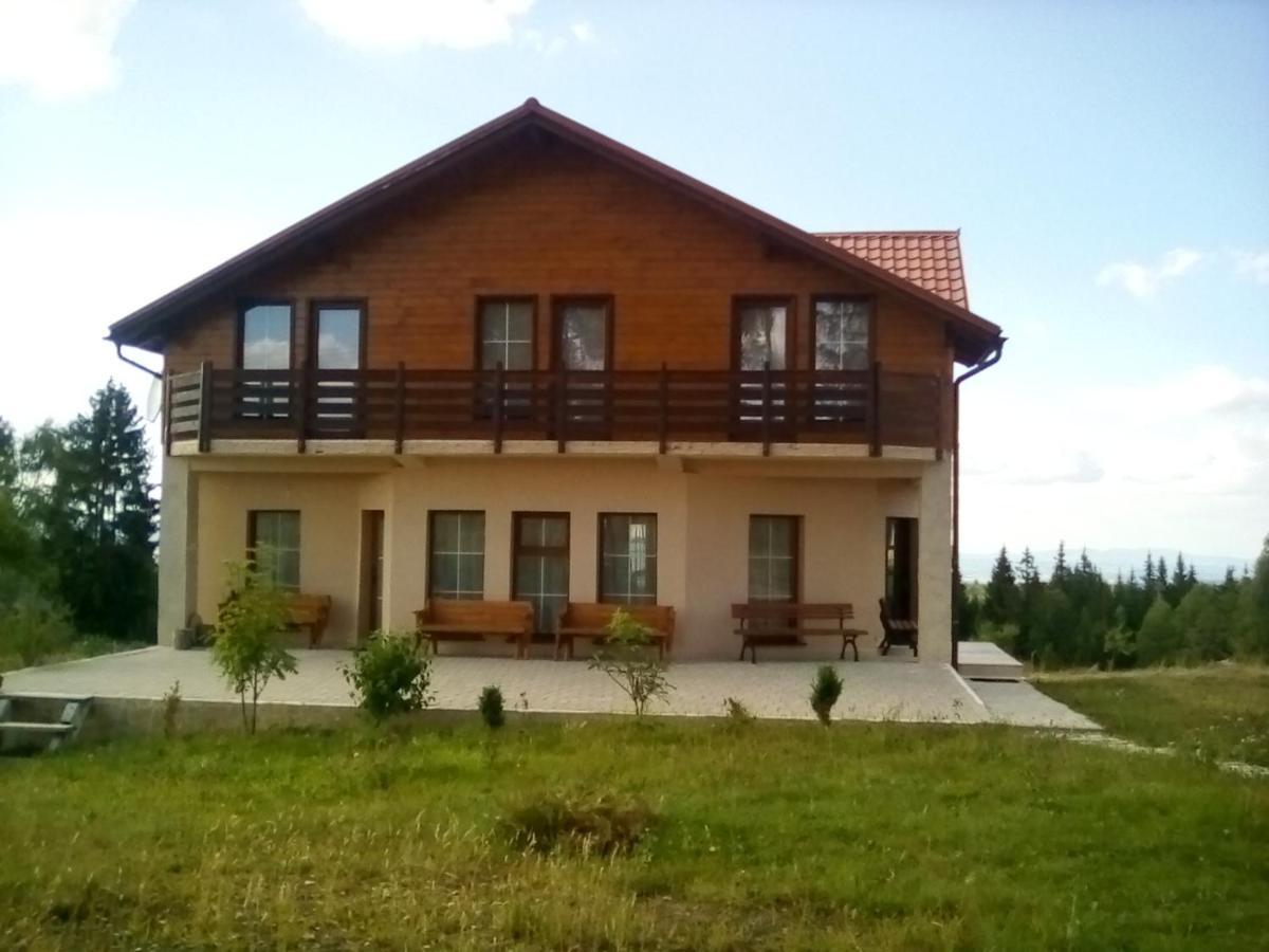 Pensiunea Dealu Negru 17B
