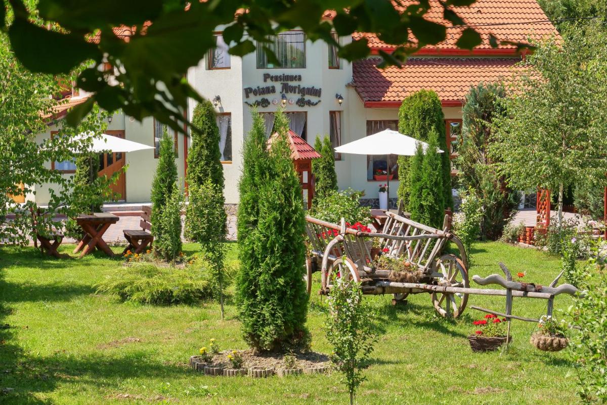 Pensiunea Poiana Avrigului