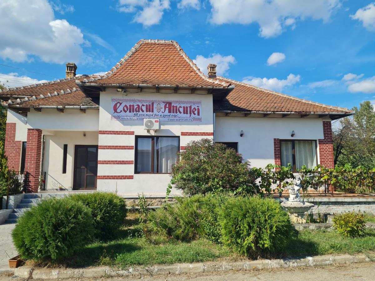 Conacul Ancuței