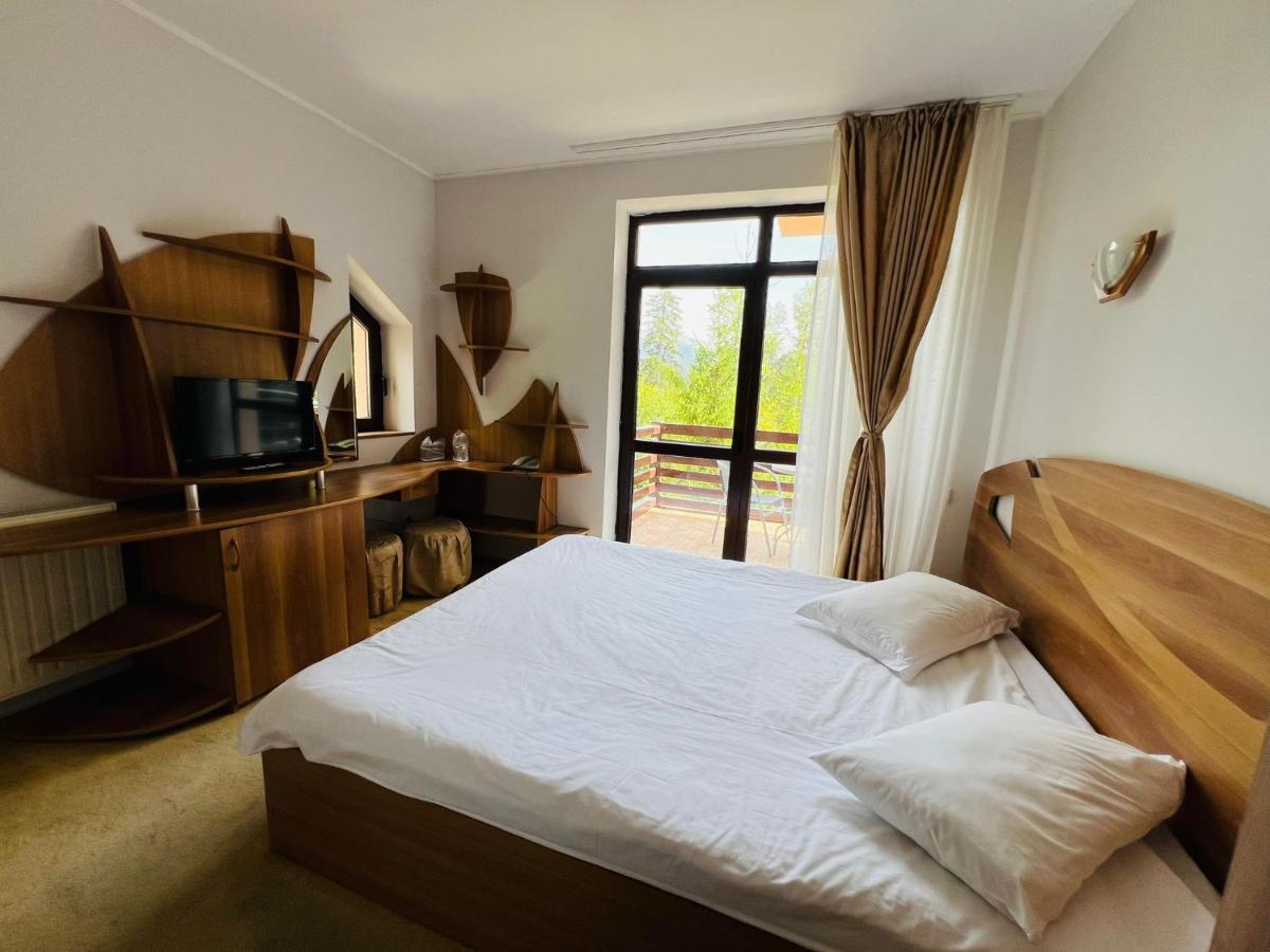 Ski Chalet Sinaia