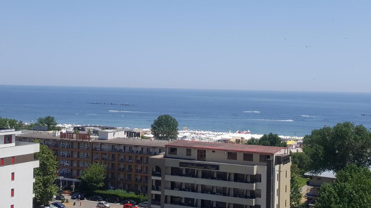 Solid Mamaia 387 E7
