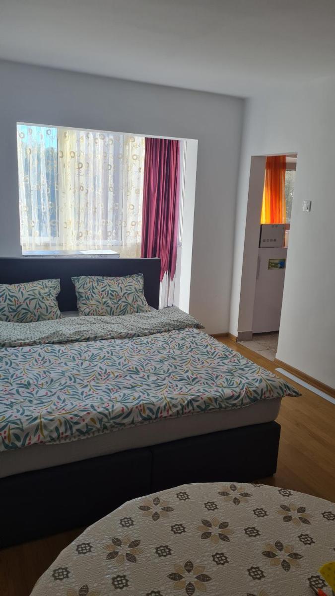 Studio Chic Symphony parcare privata