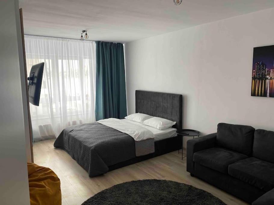 Brasov Studio 20