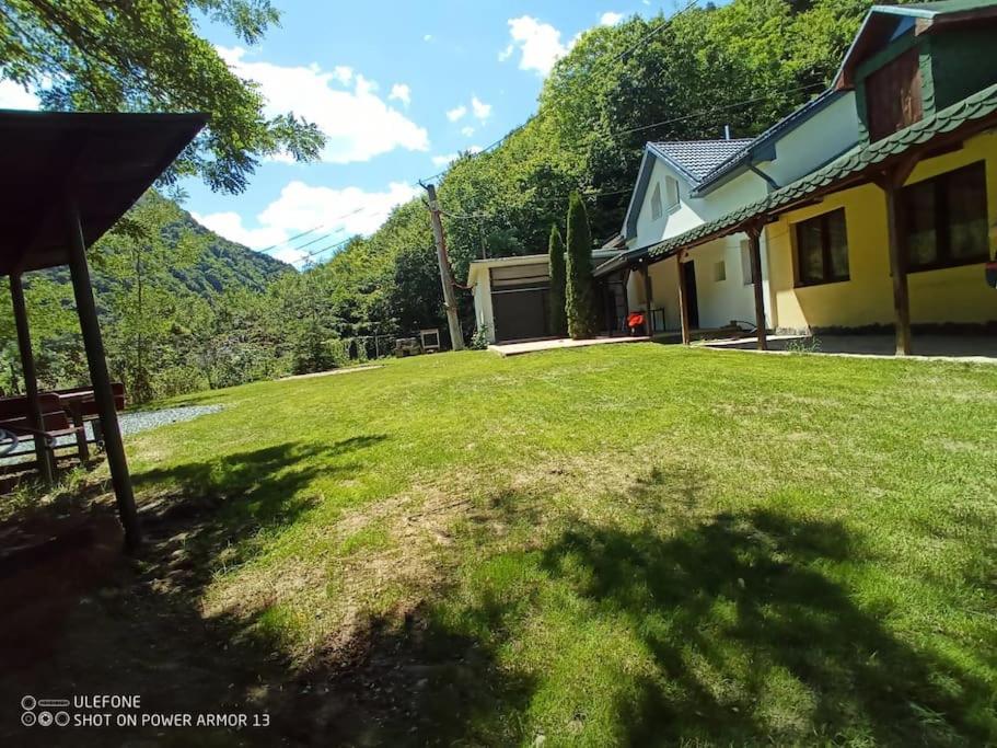 Tarnita Summer House