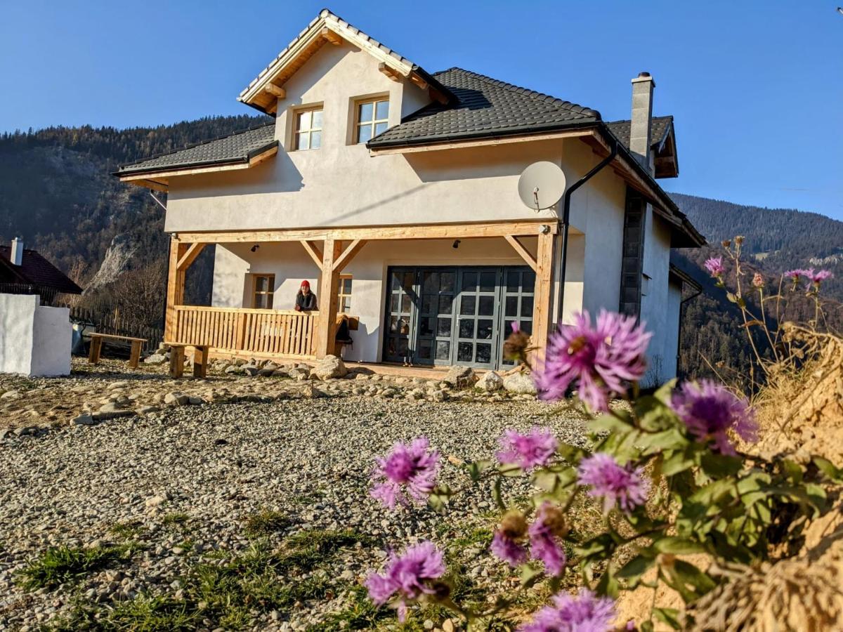 The Origin ● Mountain Guesthouse ● Magura