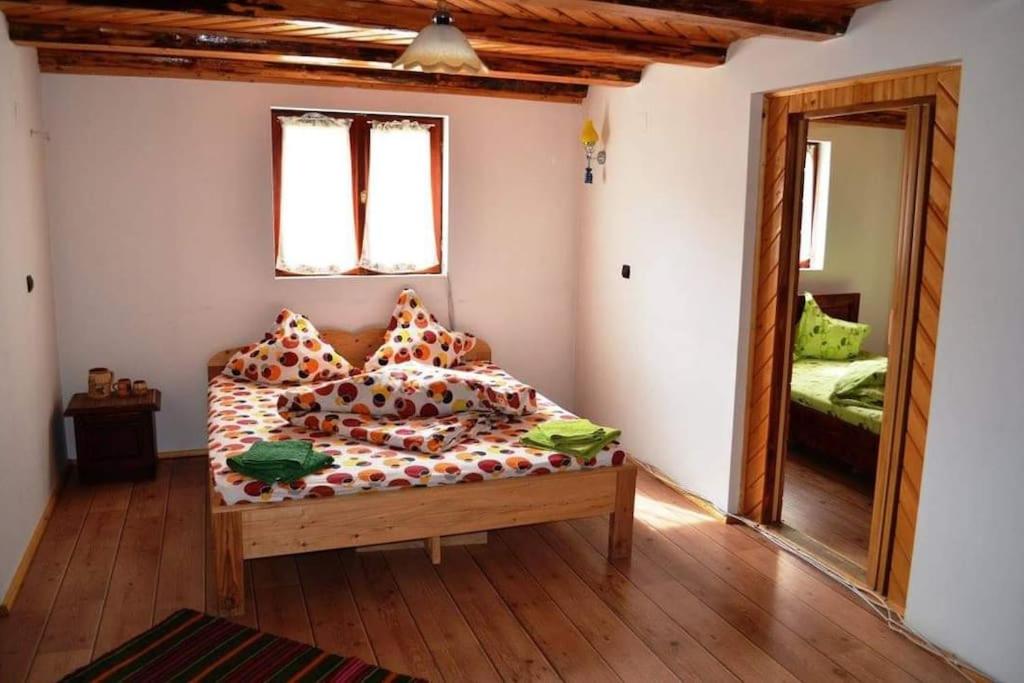 Cabană Piatra Lotrului, Voineasa