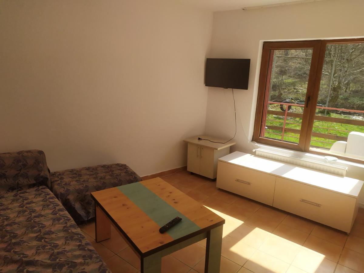 Complex Adela Transfăgărășan
