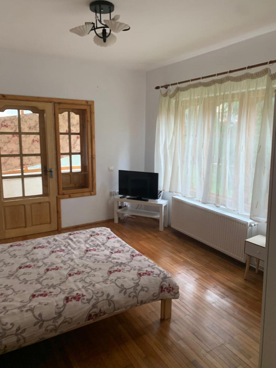 Vila Busteni DORA, locatie superba strada Grivitei 36
