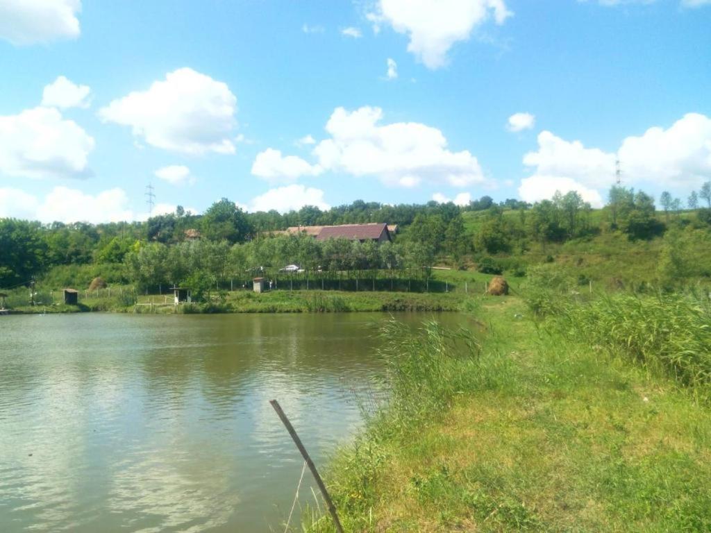 Vila Sabo- Casa de vacanta cu lac de pescuit si ciubar cu hidromasaj