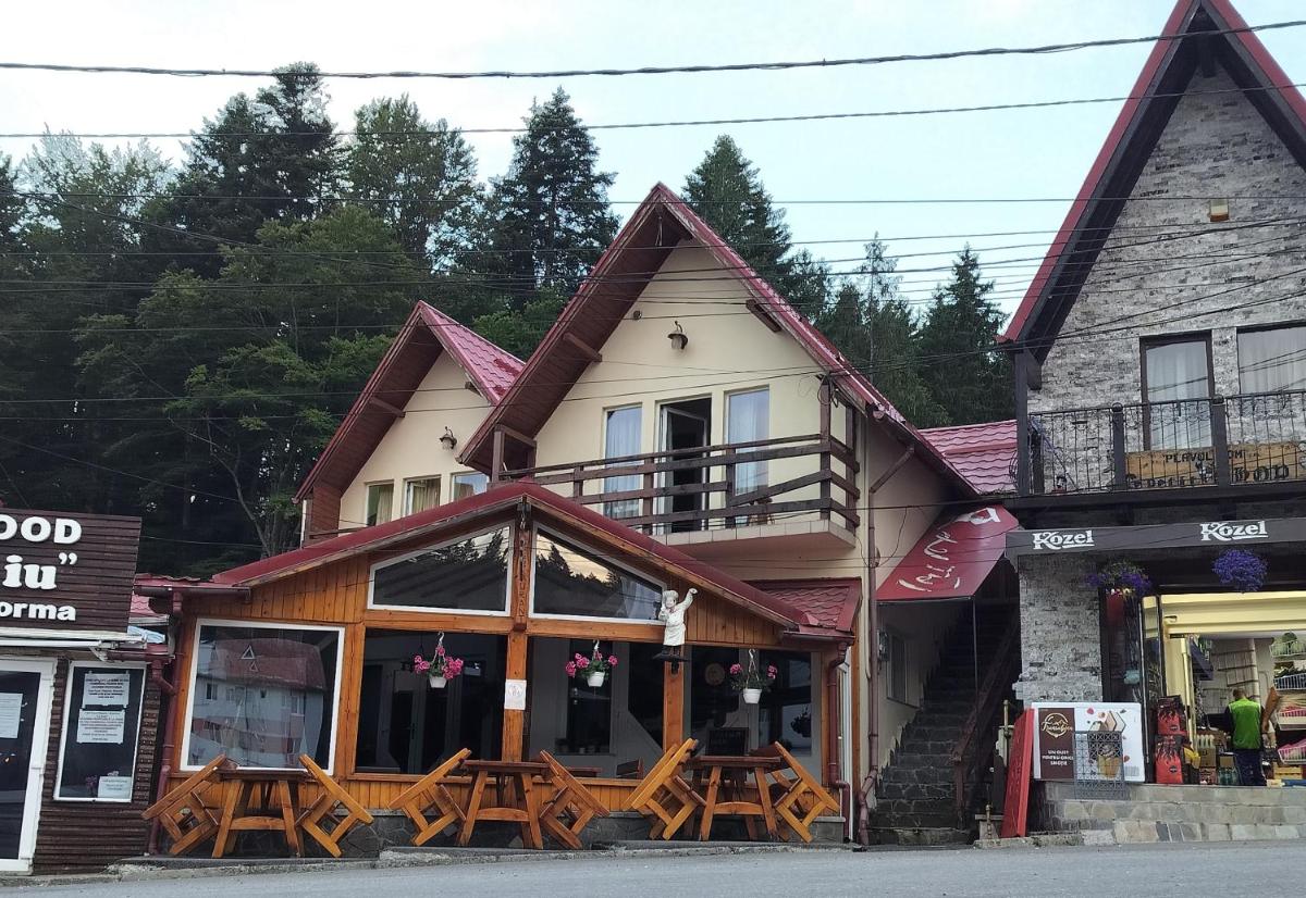Casa Bustean