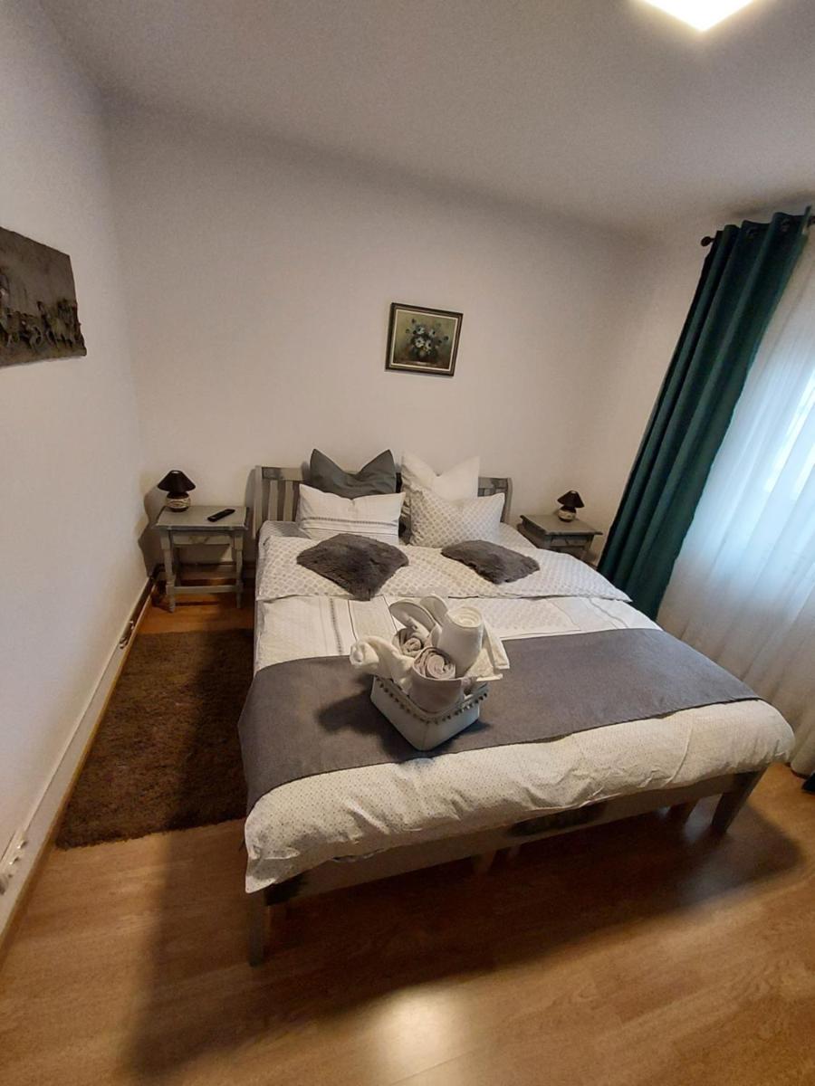 Vintage Central Apartament