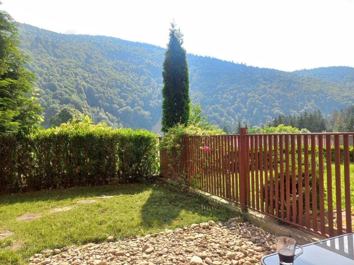 Belleview Garden Studio