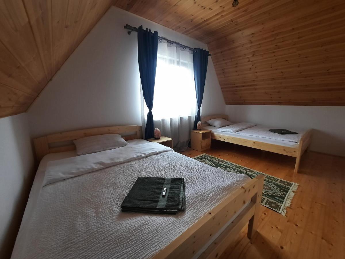 Zöld Tulipán